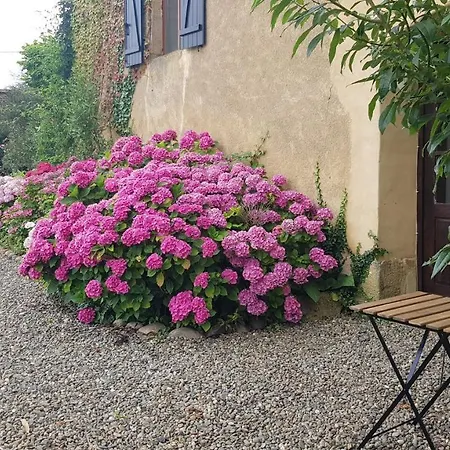 Apartment Le Peyroutet Cazaux-Villecomtal